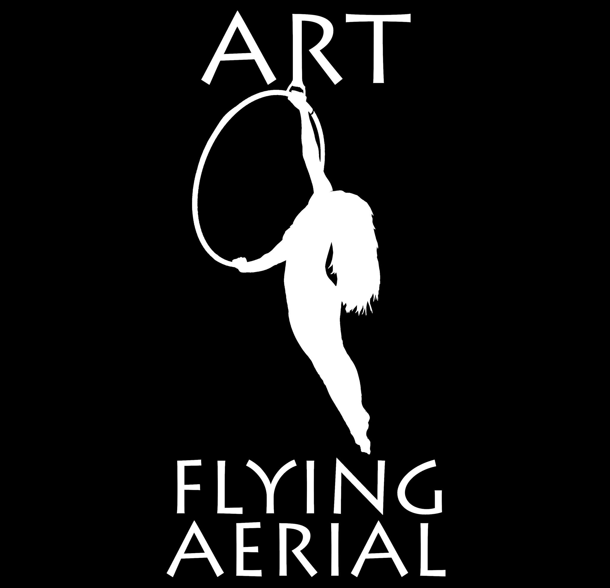 Art Flying Aerial